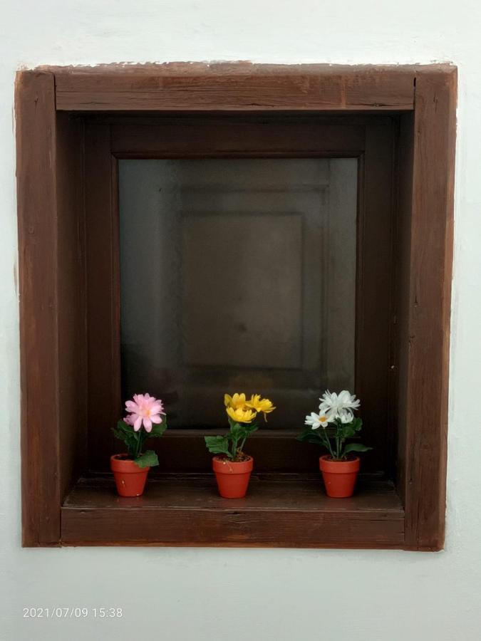 Florhouse Pacini Catânia Exterior foto